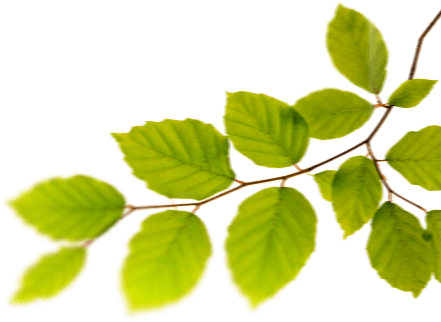 list