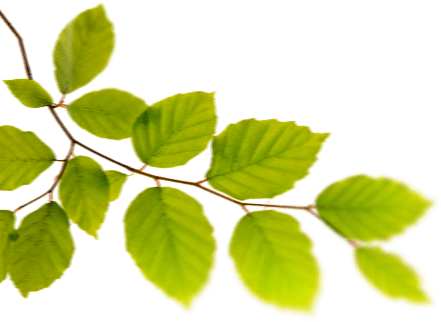 list